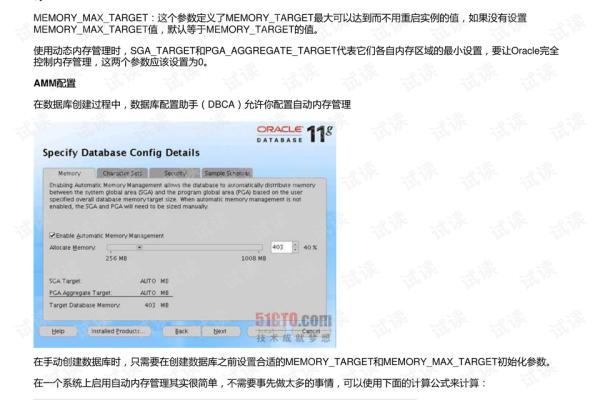 Oracle AMM 治理型应用内存分配方式