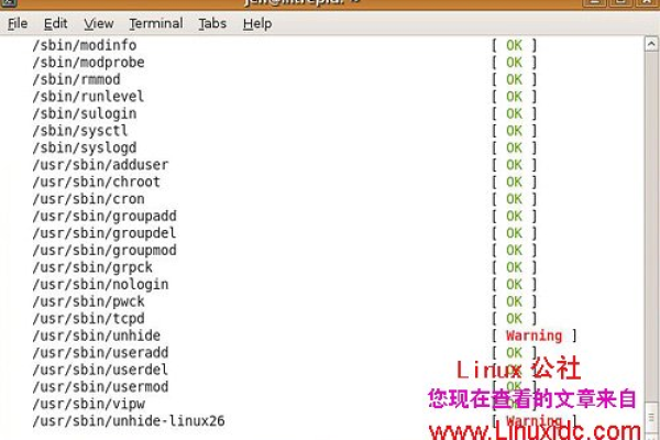 探索Linux安全工具，如何有效提升系统安全性？