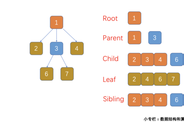 数据结构包括什么  第1张