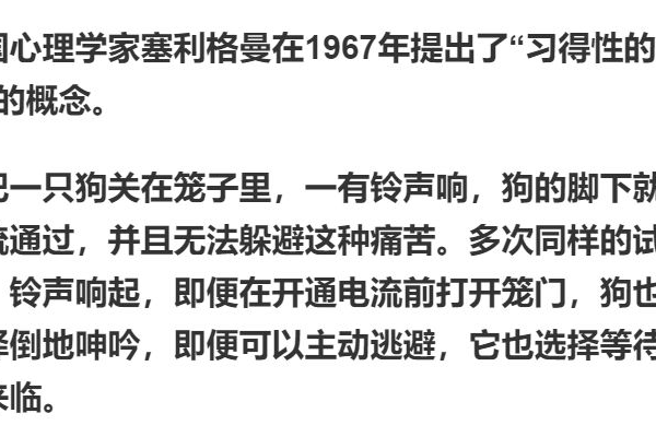 为什么您宁愿吃生活的苦，也不愿吃学习的苦？「为什么你宁愿吃生活的苦,也不愿吃读书的苦!」