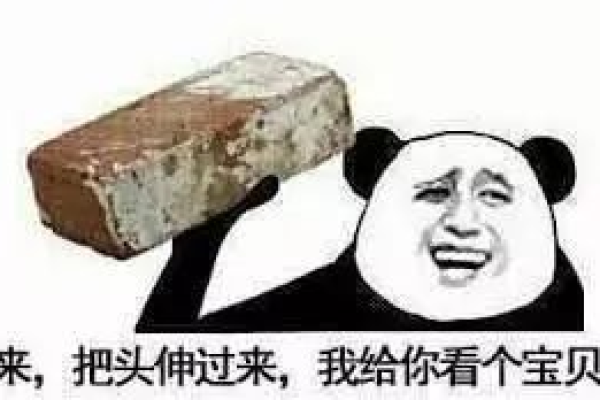 这个站打不开  第1张