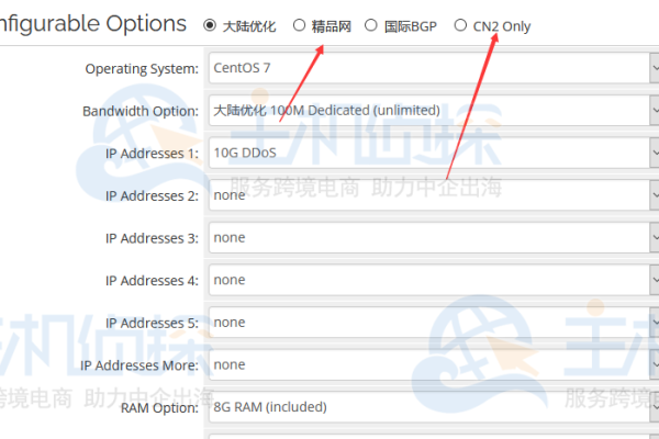 cn2荷兰vps租用怎么样  第1张