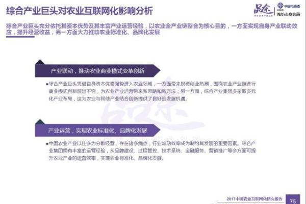 域名别名解析:掌握解析实现网站多样化的方法