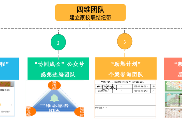 美术学院在网站构建中如何有效实施制度建设？