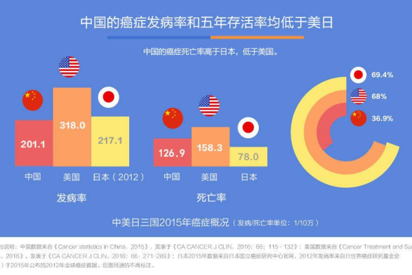 探索CDN在2022年的发展与影响，一篇文章的深度剖析  第1张