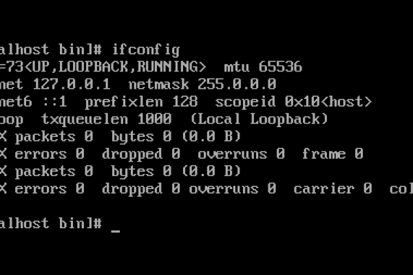 CentOS 系统自动开启网络后为何无法连接？