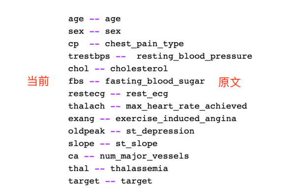 字段一词究竟指的是什么？