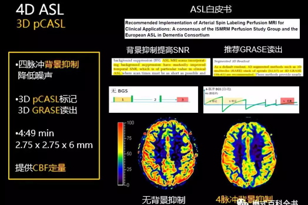 ASLR是什么？探索其原理与应用