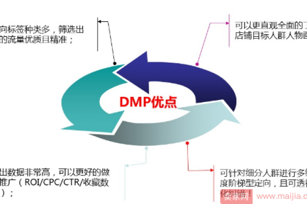 DMP是什么？它的含义和作用是什么？  第1张