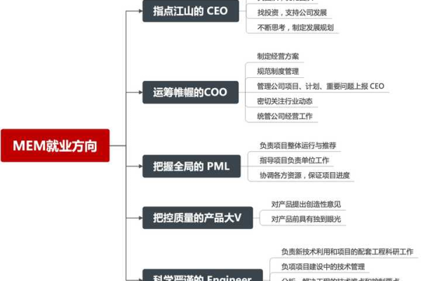 Mem是什么意思？  第1张