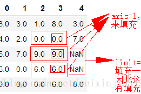 如何使用fillna函数填充数据中的缺失值？  第1张