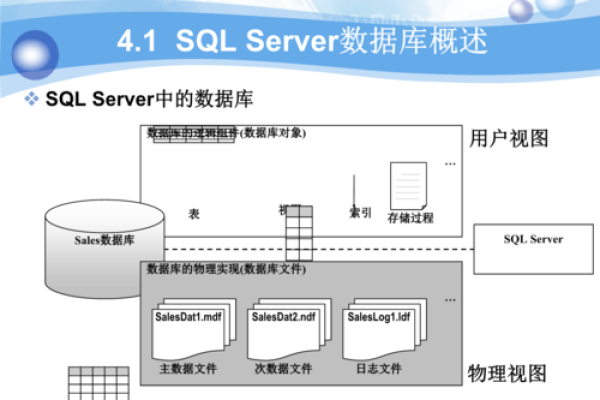 如何创建数据库和数据表？