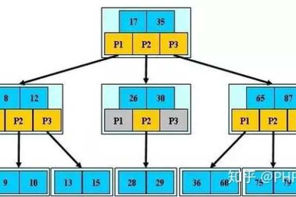 如何理解并应用MySQL数据库的排序规则？