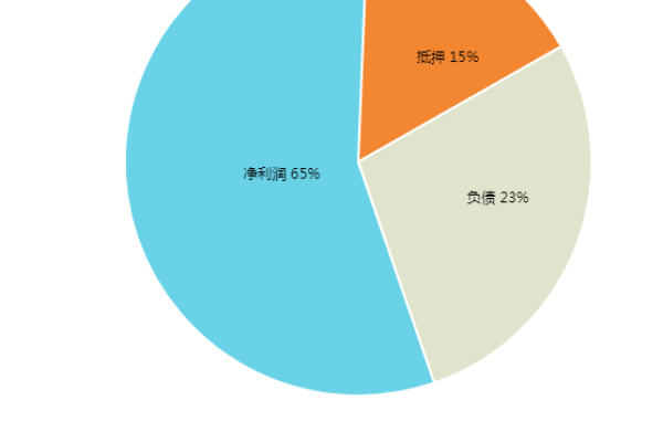 如何在Chart.js饼图中添加和自定义显示文字？  第1张