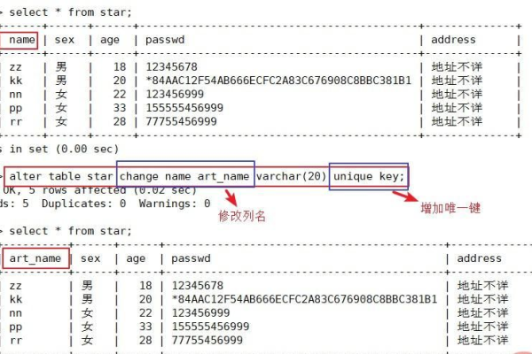 如何获取MySQL数据库中仓库所有成员的记录？  第1张