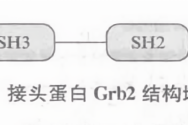 GRB究竟是什么意思？  第1张