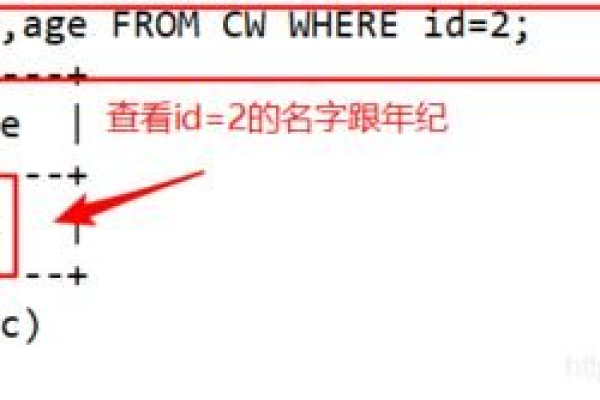 如何利用MySQL数据库位置命令查找数据库对象的位置？  第1张