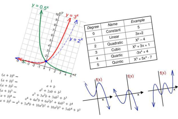 X轴，探索其在数学与科学中的核心作用