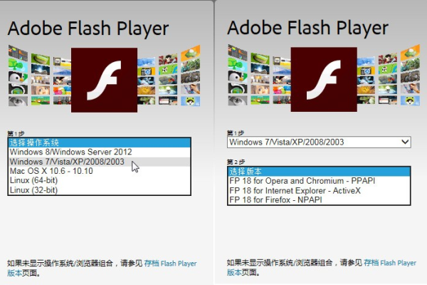 如何在Chrome中使用PPAPI来启用Flash？  第1张