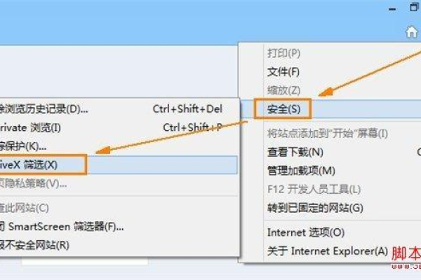 为何Flash网站无法正常打开？原因与解决方案探讨  第1张