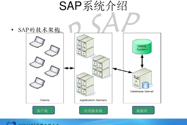 sap 部署  第1张