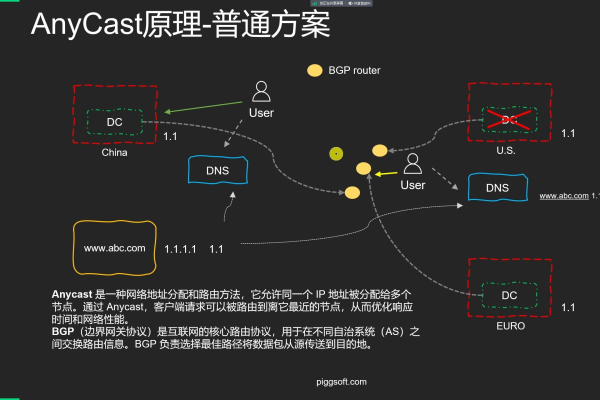 CDN、WAKDS与XYZ之间有何关联？探索这些术语背后的含义与联系