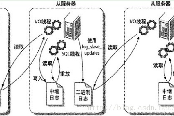 如何理解并正确使用C服务器的绝对路径？  第1张