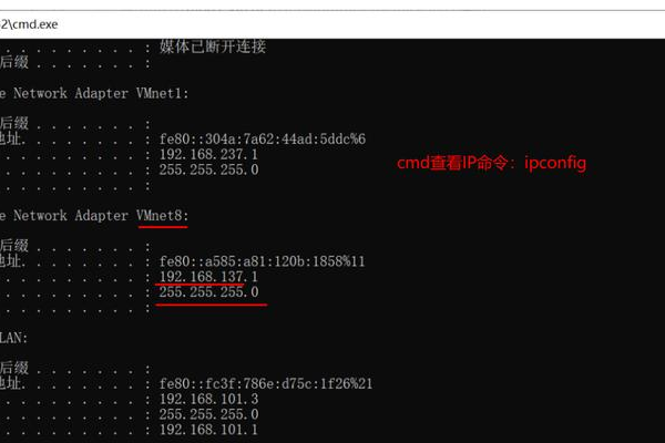 如何获取服务器的外网地址？  第1张