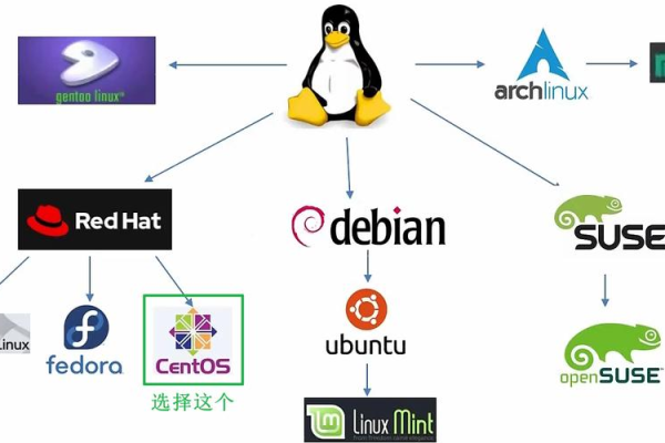 你了解Dibbler Linux吗？