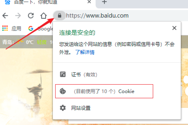 Cookie网站密码查看器，真的能轻松获取密码吗？