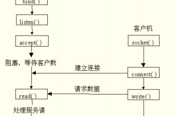 服务器套接字是什么？详解其定义与作用