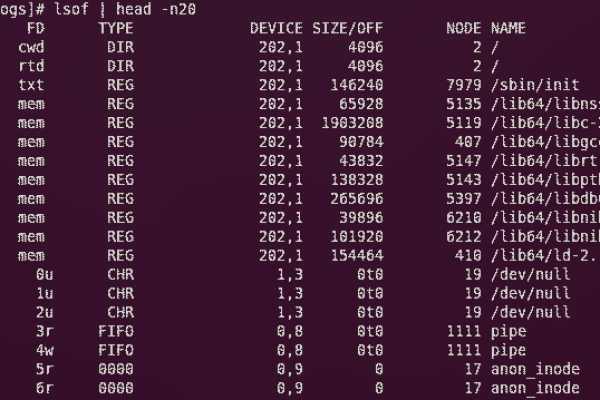 如何在Linux中使用dir命令来列出目录内容？