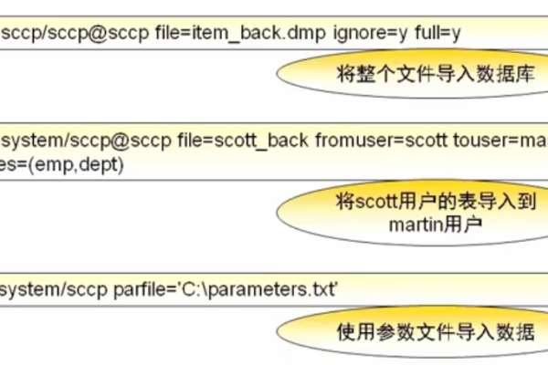 Oracle数据库中，如何有效地进行C语言程序与数据库的交互操作？