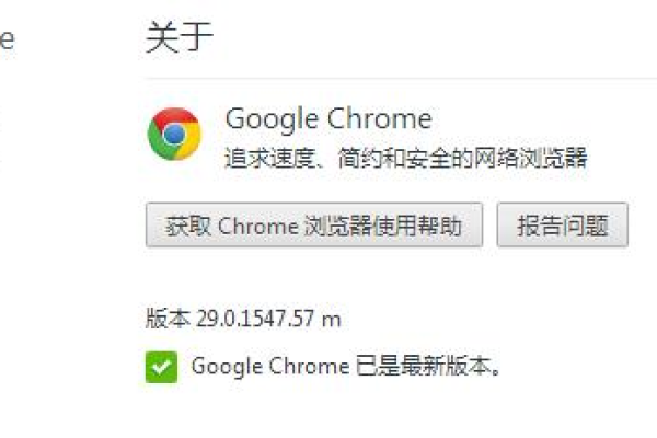 为什么Chrome网站会崩溃？  第1张