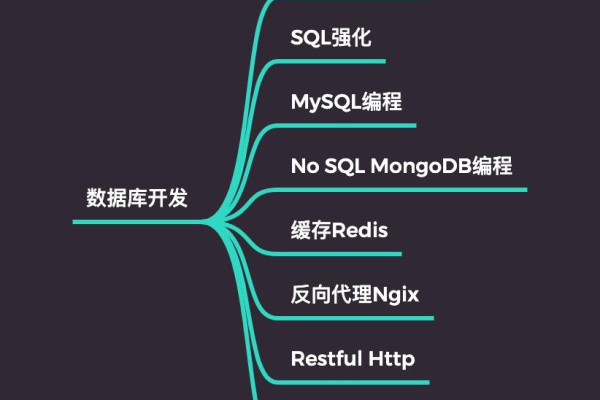 C 数据库真的存在吗？  第1张