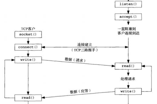 如何利用C语言中的TCP API进行网络编程？  第1张