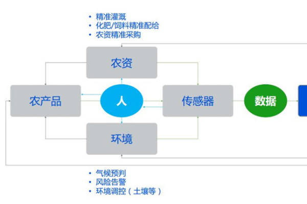 如何确定服务器年租金的合理性与成本效益？  第1张