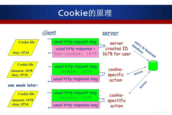 Cookie 顶级域名与二级域名有何区别及联系？  第1张