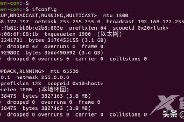 如何在C Linux中获取本机的IP地址？  第1张