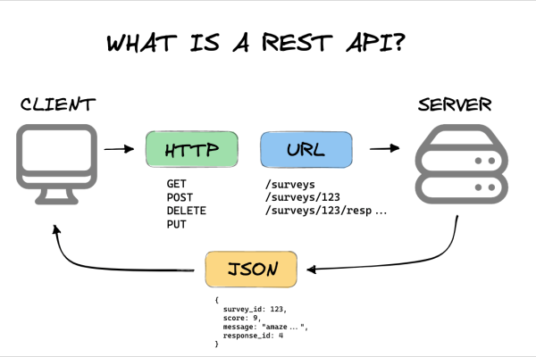 如何进行RESTful API开发？  第1张