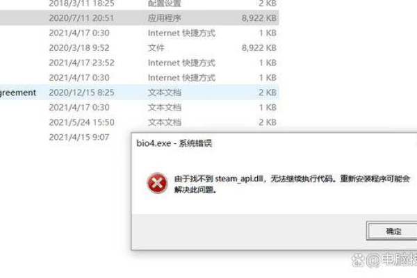 如何解决Could Not Get DLL API错误？  第1张