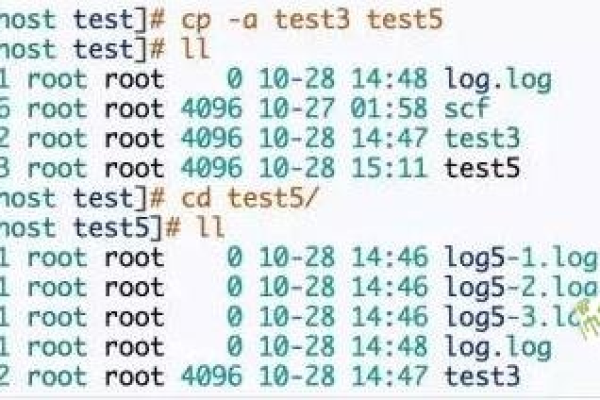 如何在Linux中使用cp命令复制整个目录？  第1张