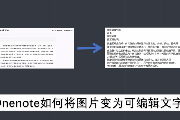 如何在C语言中调用OneNote实现图片文字识别？  第1张