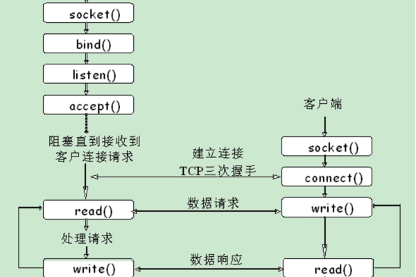 c怎么写服务器  第1张