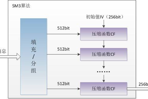 哪种存储管理算法在实际应用中表现最佳？