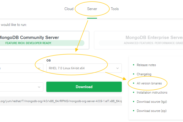 服务器上安装mongodb  第1张