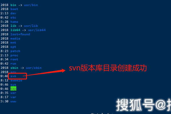 如何在Linux系统中查看SVN路径？  第1张