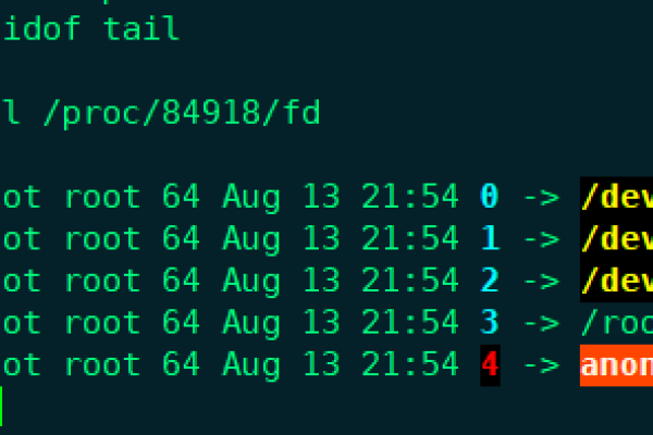 在Linux系统中，如何有效管理和优化文件描述符（FD）的使用？  第1张