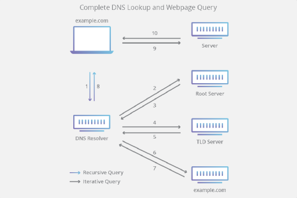 dns lookup