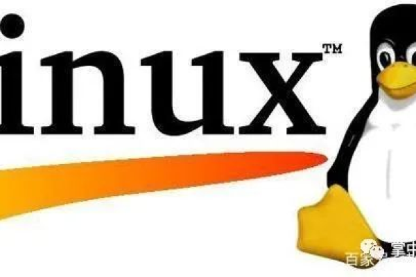 迷你版Linux，它是什么，以及为什么它值得关注？  第1张